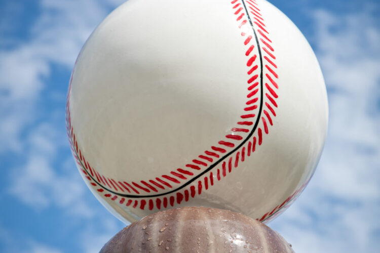 close up of water sprayer that looks like a baseball bat and ball